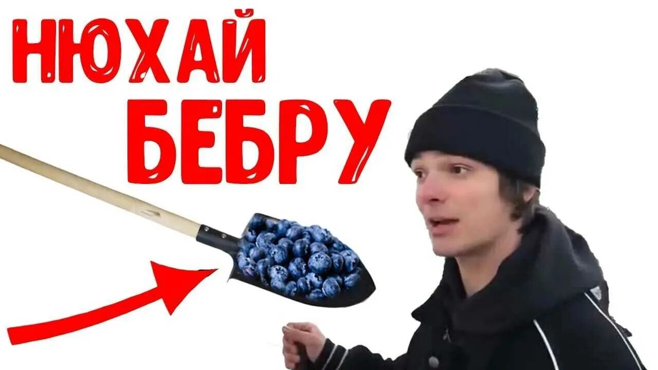 Надпись на тетрадь. Молодежный сленг. Бкбра. Сленг. 365 что значит.