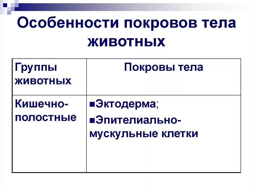 Покровы тела выполняют функции. Особенности покровов тела животных. Особенности Покрова тела. Покровы тела животных таблица. Характеристика покровов тела.