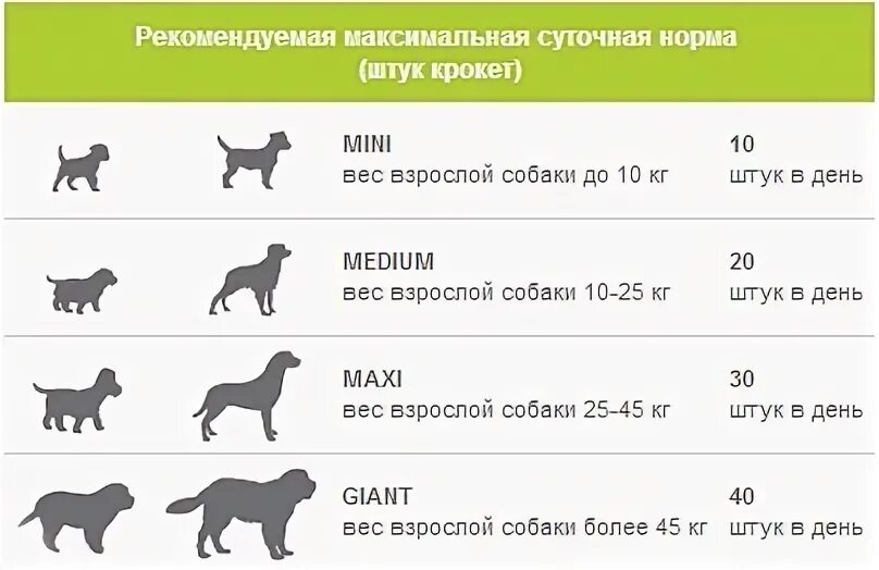 Сколько нужно есть собаке. Нормы кормления щенков до 6 месяцев. Средний вес собаки. Норма корма для собак. Норма веса собаки.