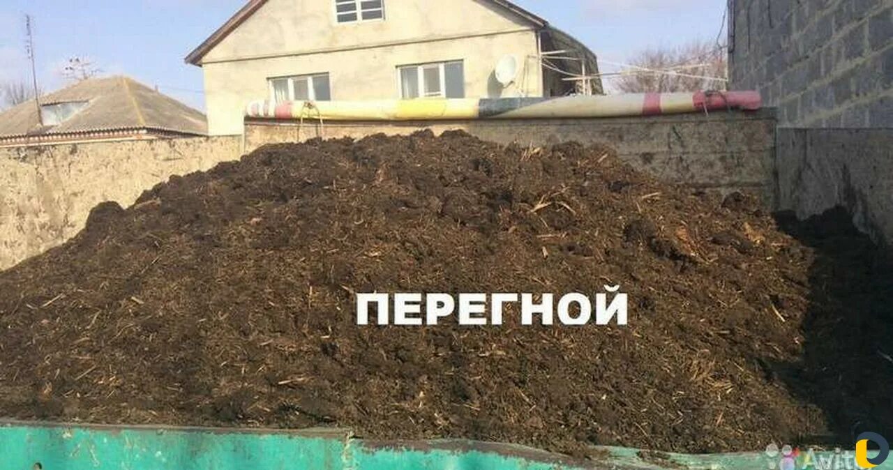 Реклама конского навоза. Газель самосвал навоз. Газель самосвал с черноземом. Навоз авито чита. Фото цветка на навозной куче.