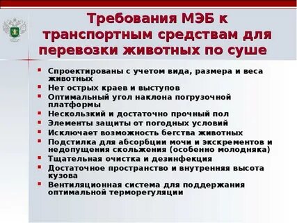 В каких классах не предусмотрен провоз животных