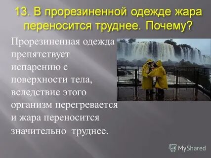 Почему мужчины тяжелее переносят температуру