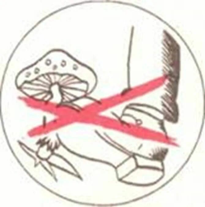 Знак нельзя собирать грибы. Природоохранные знаки. Экологические знаки экологические знаки. Экологический знак для грибов. Не сбивай грибы знак.