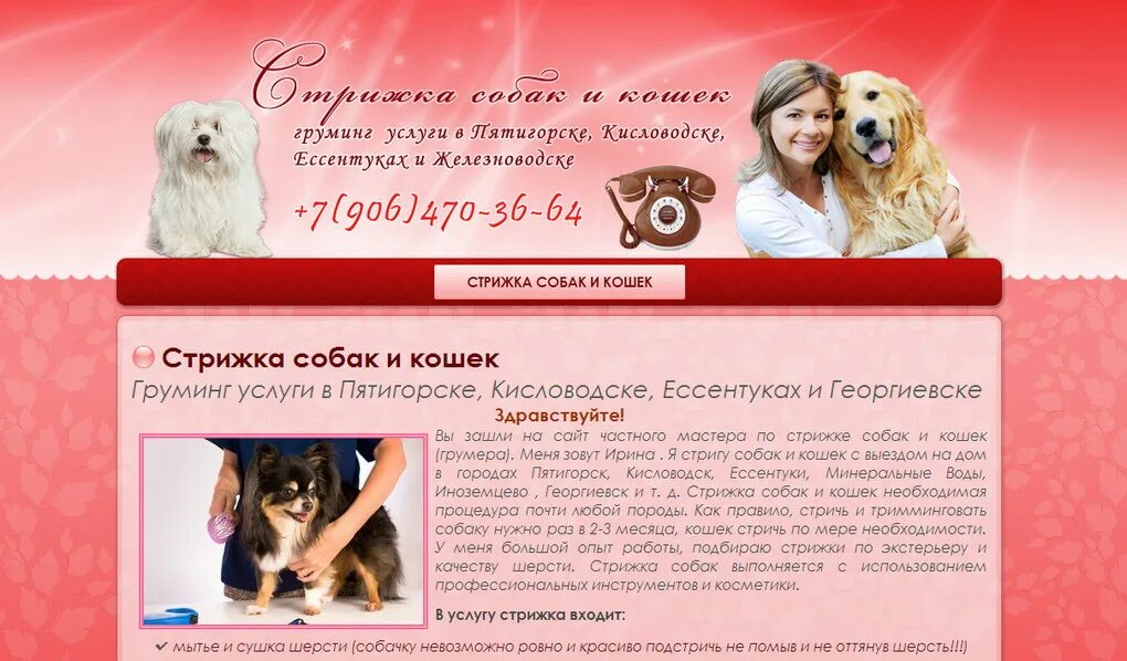 Грумер для собак. Ши тцу стрижки. Машинка для собак. Грумеру интернет. Ши-тцу.