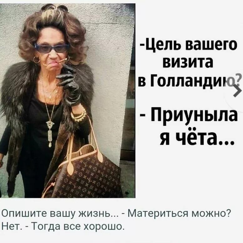 Цель визита работа. Цель вашего визита в голландию. ваше цель поездки в голландию. цель вашего визита в амстердам приуныла. чет я приуныл.