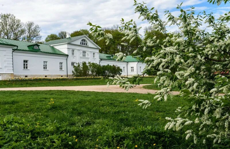 Тула ясная. Ясная поляна тула. ясная поляна тула циолковский. 2017 ясная поляна тула. ясная поляна тула 2025.
