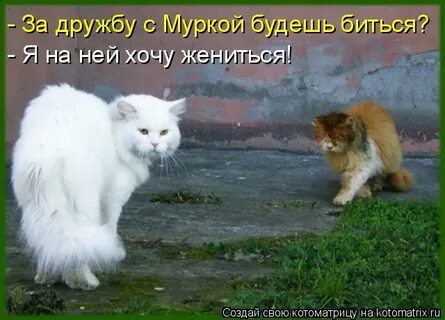 Как я буду биться