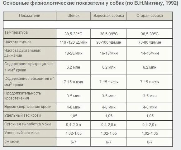 Нормальное давление у собак. Какая нормальная температура у собаки средней. норма температуры у собак. температура тела у собак крупных пород в норме. норма температуры у собак средних пород.