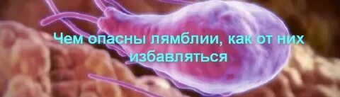 Лямблии 3 года