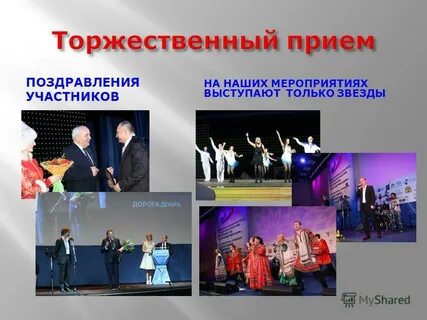 Организация 2013 года