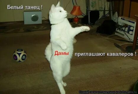 Пригласите танцевать