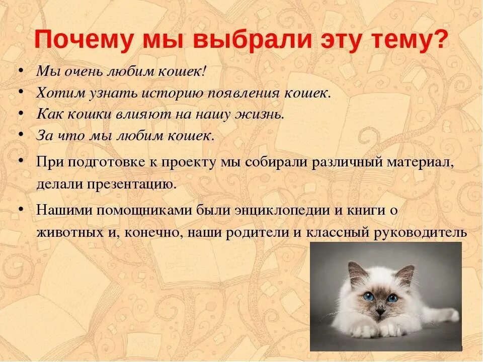 Кошки подобрать слово