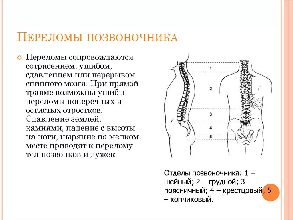 Повреждения позвоночника переломы. Компрессионный перелом позвоночника т11. Клиника перелома позвоночника. Перелом костей позвоночника. Переломы грудных и поясничных позвонков.