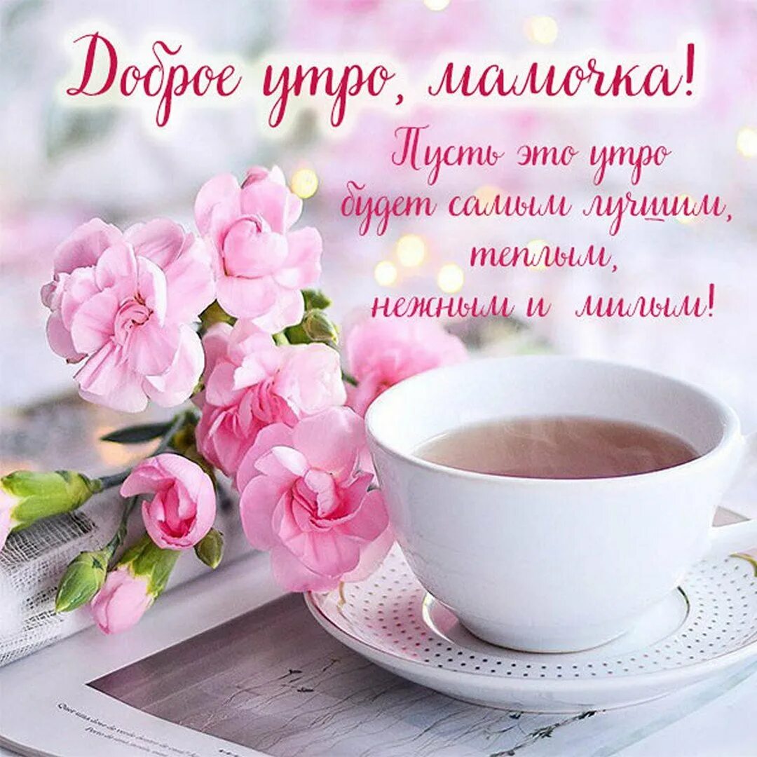 Нежного утра хорошего дня. Доброе утро нежные пожелания. Открытки с добрым утром. Нежные открытки с добрым утром. Красивые пожелания с добрым утром.