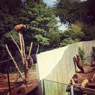 Ты кажется и не тосковала