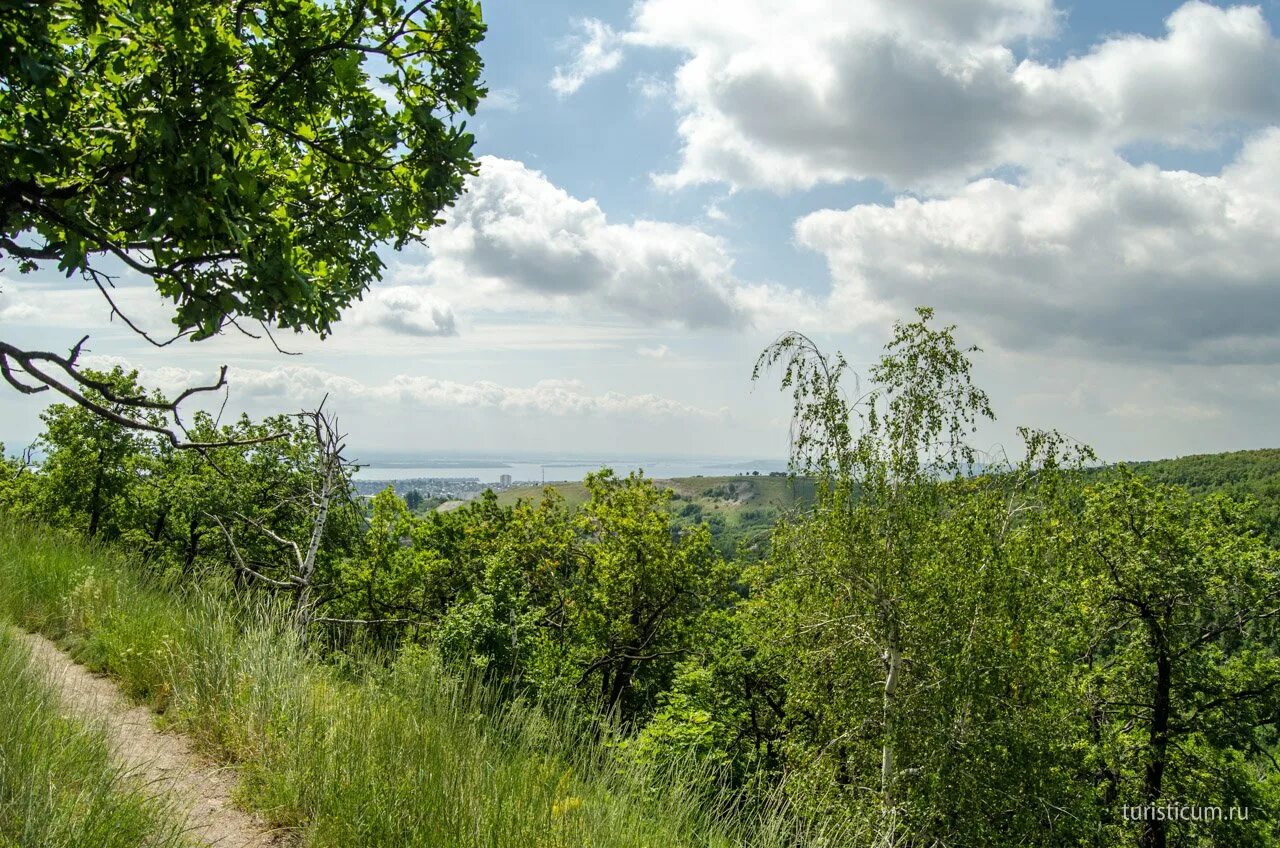 Лес Кумысная Поляна Саратов. Природный парк Кумысная Поляна. Природный парк Кумысная Поляна Саратов. Дьяковский лес Саратовской области.