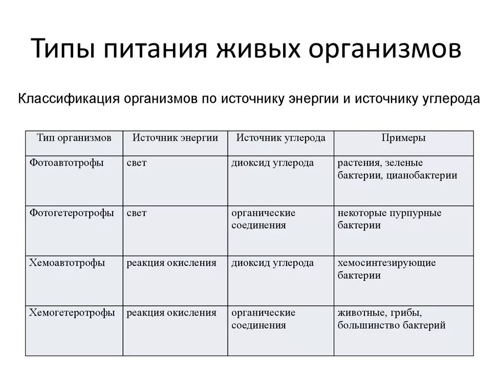 Классификация типов питания организмов. Биология Тип питания живых организмов таблица. Типы питания живых организмов таблица 5 класс. Типы питания организмов таблица 10 класс биология.