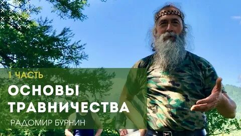 Основы травничества. Травничества. Школа травника. Растения для травника. Школа травниц.