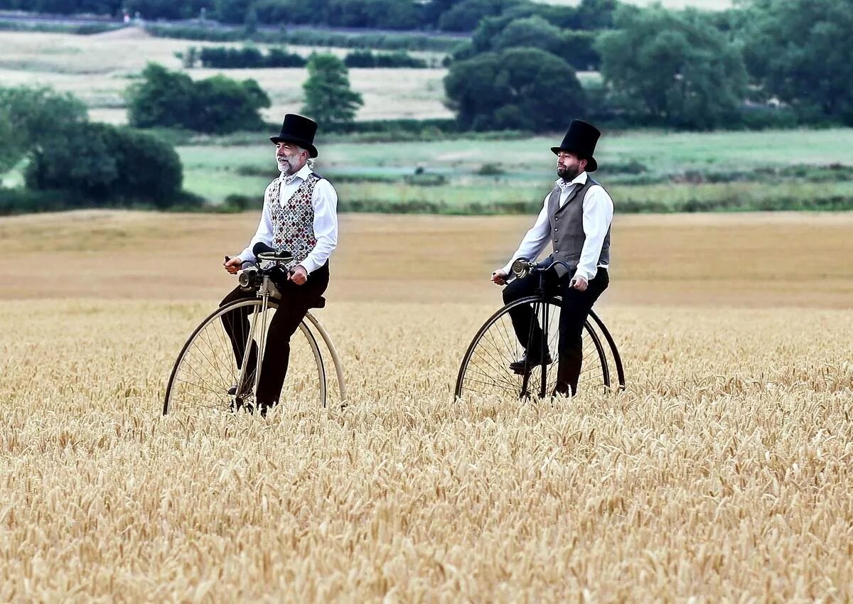 Поле смешное. Позитивные картинки на рабочий стол. Приколы в поле. Фигуры из тюков сена. Счастливые животные.