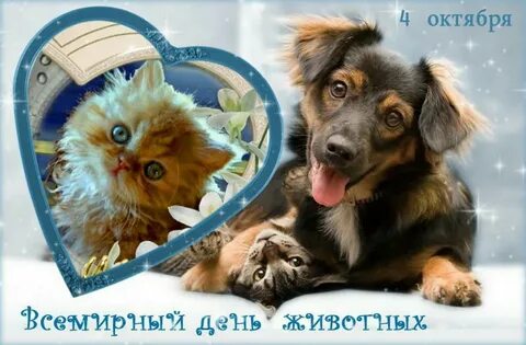 З 4 октября