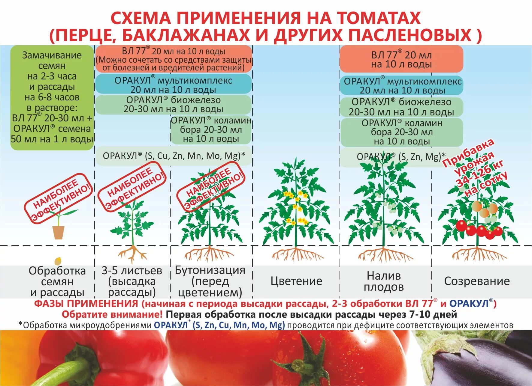 Удобряют ли помидоры. Подкормка рассады монофосфа ом калия. Схема удобрения рассады томатов. Схема подкормки рассады перца. Схема подкормки томатов от рассады до сбора.