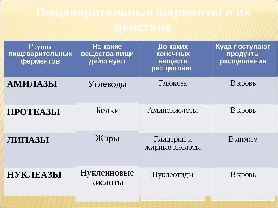 Вещества расщепляющиеся ферментами слюны. Пищеварительрые фермеьрв. Еищеварительнве феоиенты. Пищеварительная фкрменты. Ферменты пищеварительной системы таблица.