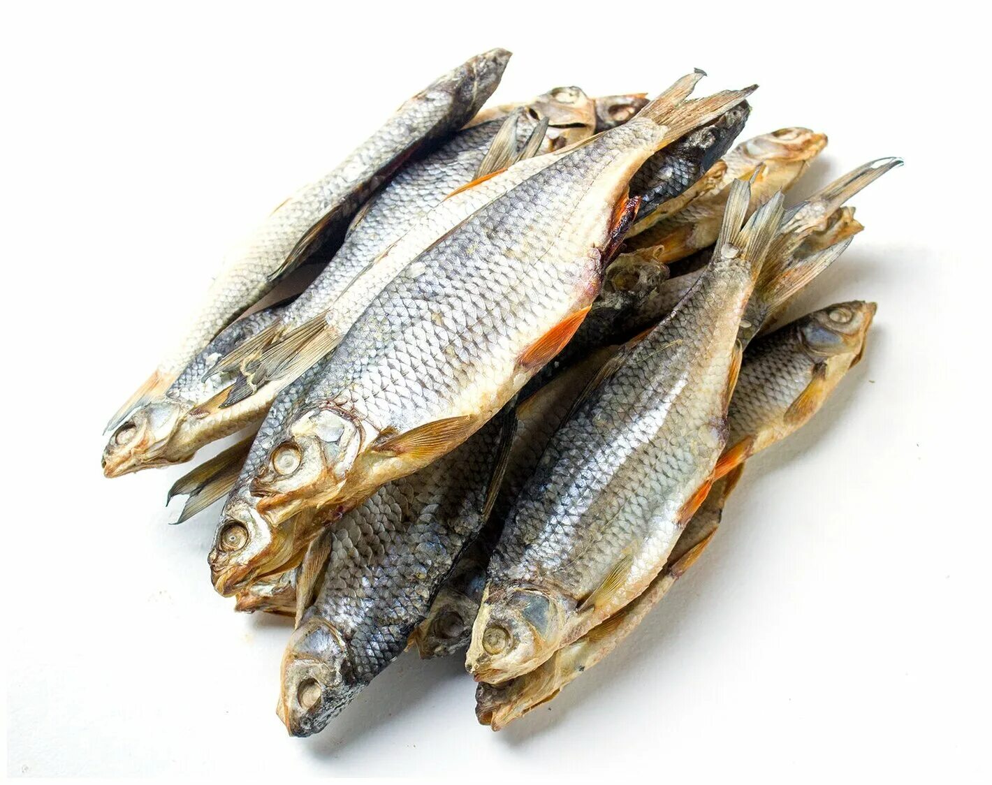 Сорожка вяленая. Вобла таранка. Таранка плотва. Плотва вяленая. Сорожка вяленая.