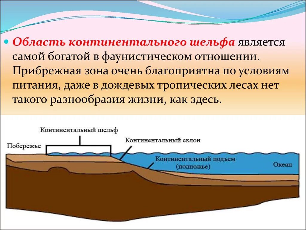 Поверхность водой и накройте. Шельф. Материковый шельф. Зоны континентального шельфа. Воды континентального шельфа.