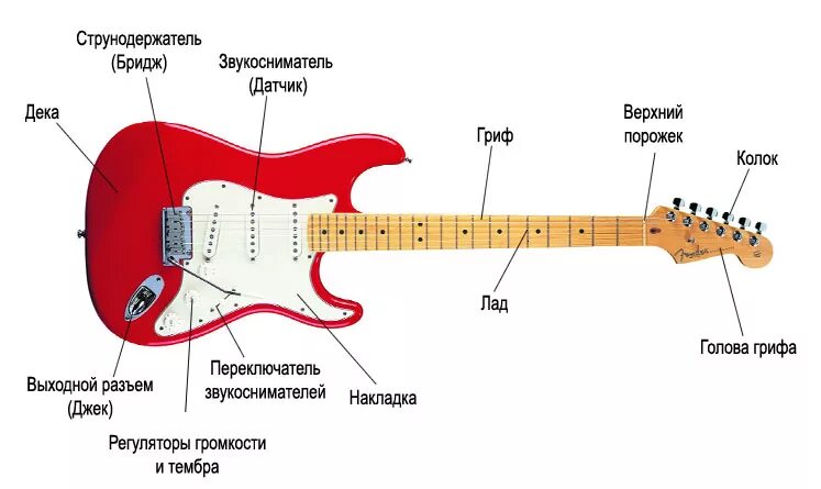 Бридж на русском. Строение электро бас гитары. Название частей гитары электро. Составные части бас гитары. Строение гитары электрической.