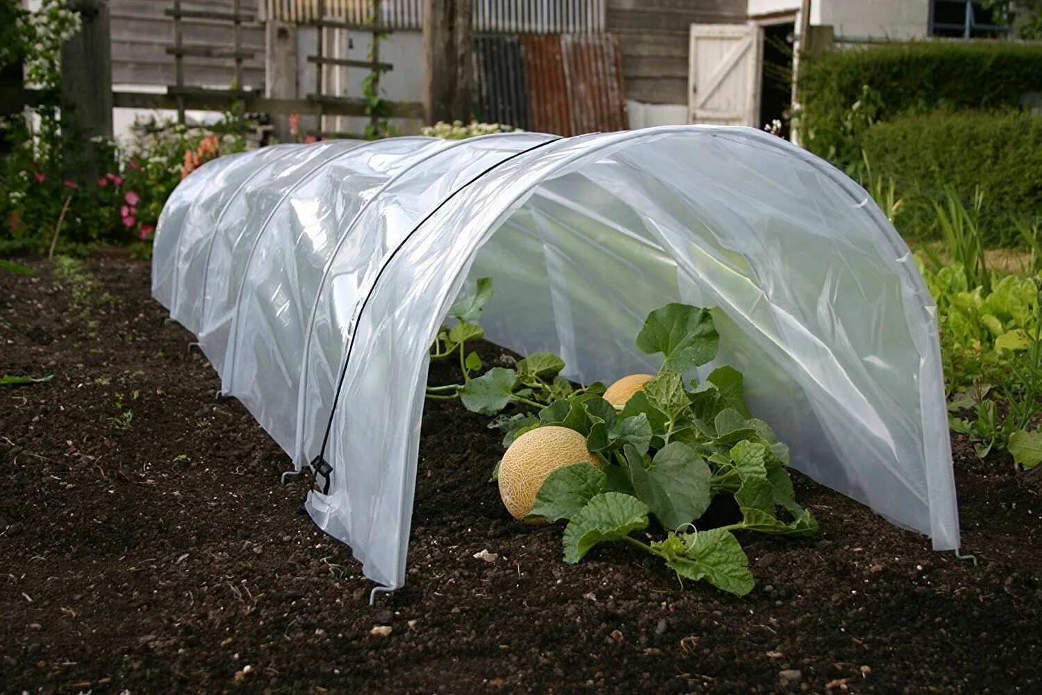 Мини парники купить в москве. Мини ГРИНХАУС парник. Парник Greenhouse т-21. Мини-теплица парник JXX-11003. Теплица "огуречник" 1м*3м.