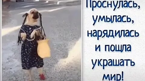 Пошла украшать мир