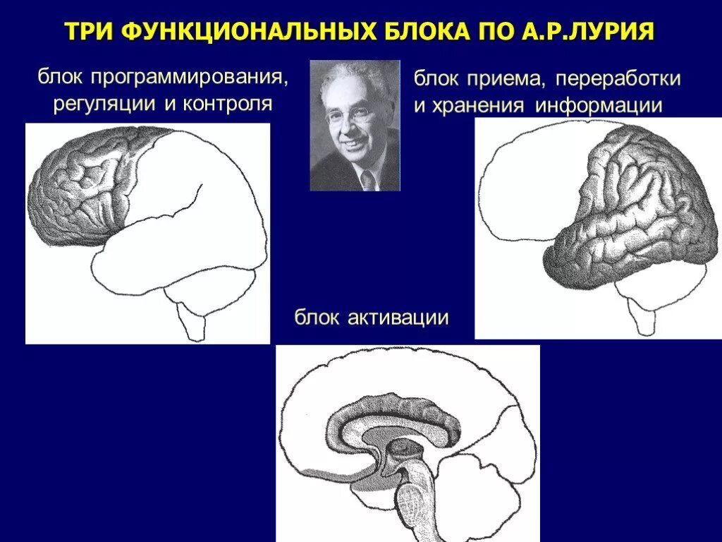 Нарушения блоков мозга. Функциональные блоки мозга (а. р. Лурия). Лурия 3 блока мозга. Функциональные блоки Лурия. Функциональные блоки мозга Лурия.