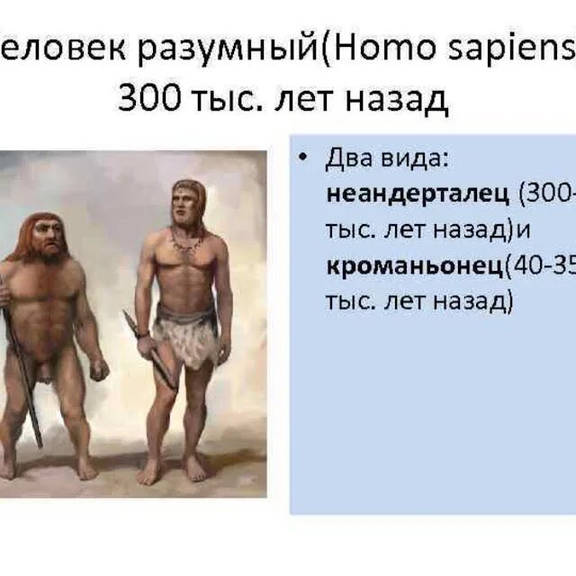 Вид человек разумный (homo sapiens). Кроманьонец неандерталец сапиенс сапиенс. Человек разумный homo sapiens человек современного типа. Хомо сапиенс неандерталец кроманьонец. Хомо сапиенс человек разумный сформировался около