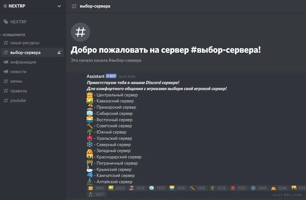 Шаблоны серверов дискорд русские. РП для Дискор сервера. РП сервера в дискорде. Некст РП Дискорд сервер. Дискорд сервера для общения.