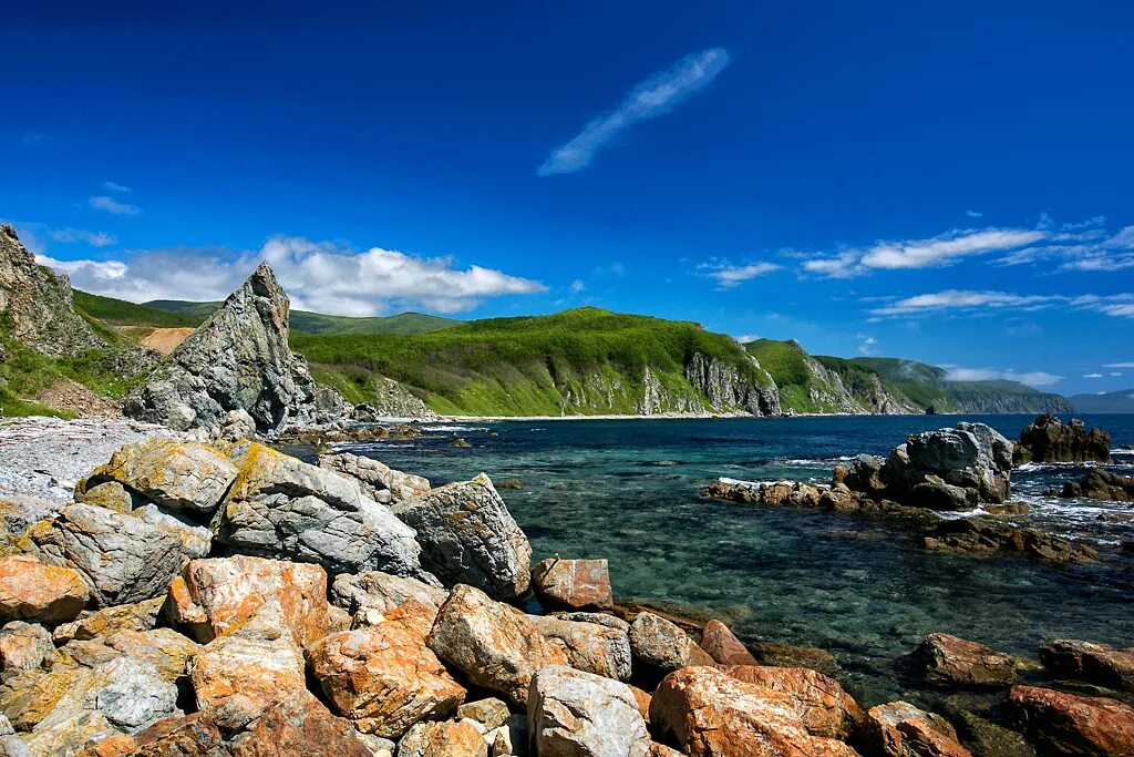 Сихотэ алинский заповедник мыс северный. Биосферные заповедники дальнего востока. Сихотэ-алинский заповедник. Сихотэ-алинский заповедник. Стхлте алинбский зповденик.
