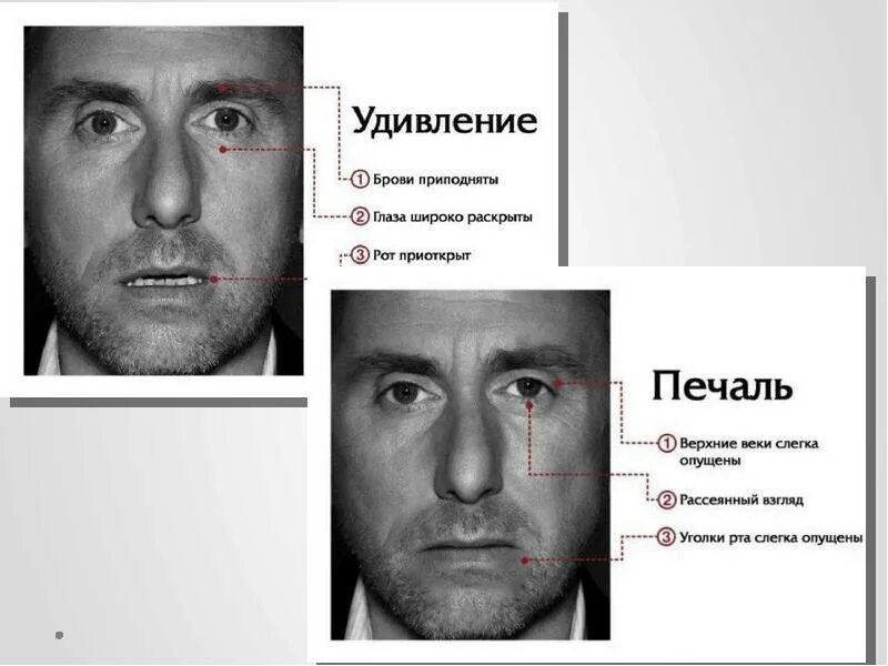 Тест по фото. Физиогномика. Физиогномика лица. Физиогномика картинки. Физиогномика в фотографиях.