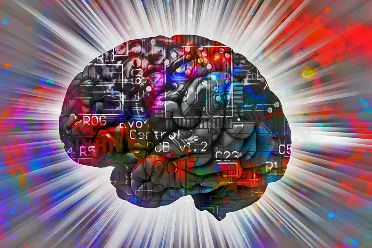 Colored brains