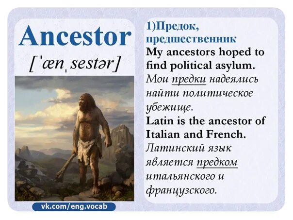 Найти слово предок. Предки слово. Predecessor ANCESTOR разница.