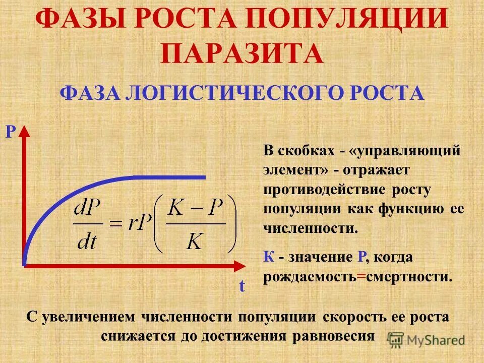 Фазы роста популяции. Фазы размножения бактериальной популяции. Фазы роста популяции. Кривая размножения бактерий. Рост и размножение бактерий.