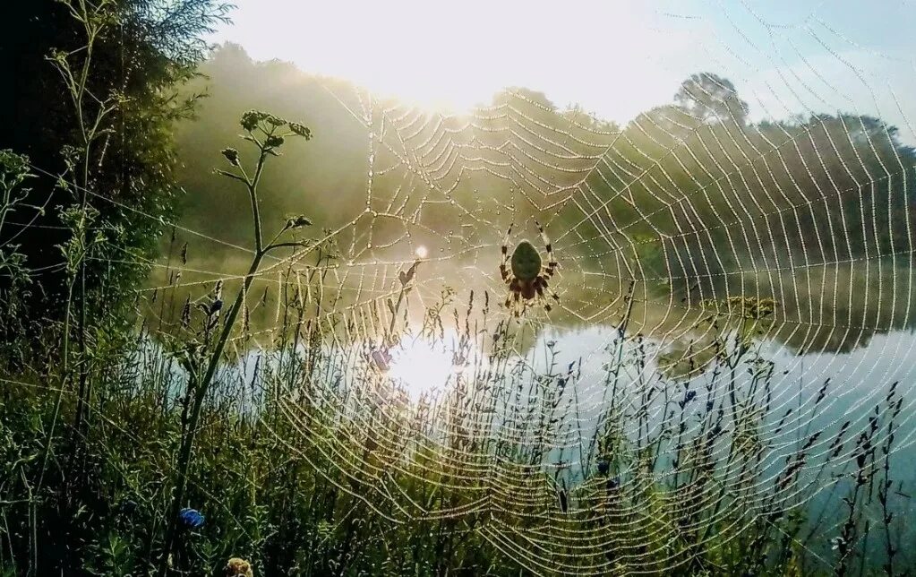 Фотоконкурс географического. Географическое общество фотоконкурс. российское географическое общество фотоконкурс. победители фотоконкурса самая красивая страна. фотоконкурс россия самая красивая страна.