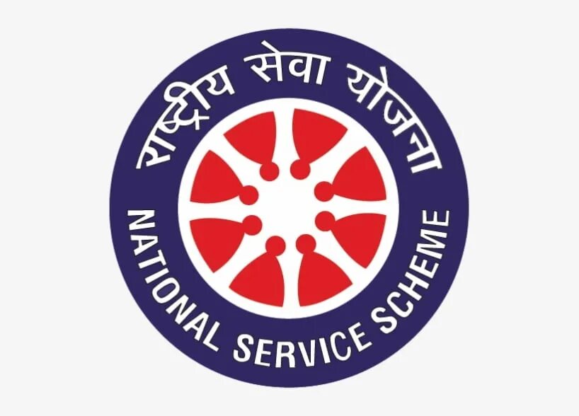Nss 5. Nss logo. national лого. scheme логотип. мероприятие nss.