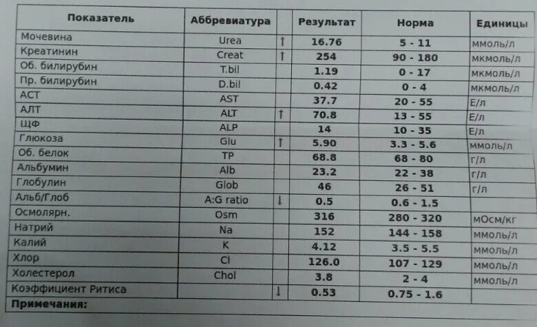 Повышен билирубин прямой в крови у мужчины. Анализ крови показатели нормы билирубин. Норма алт АСТ общего билирубина. Биохимия крови билирубин норма. Билирубин биохимия норма.