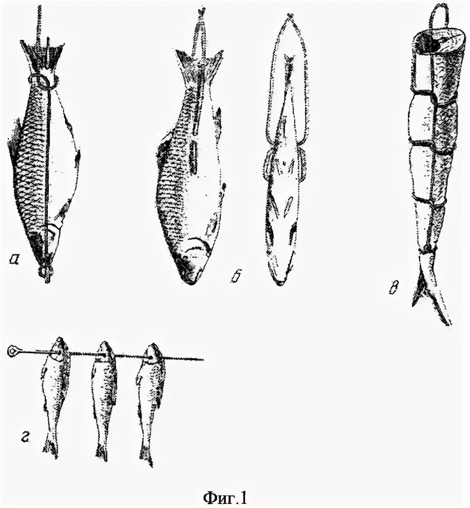 Бечева на которую нанизывают рыбу. Обвязка рыбы для копчения. Способы копчения рыбы. Обвязка рыбы для копчения шпагатом. Перевязать рыбу для горячего копчения.