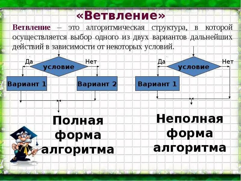 Неполная форма ветвления информатика. Неполная форма ветвления информатика