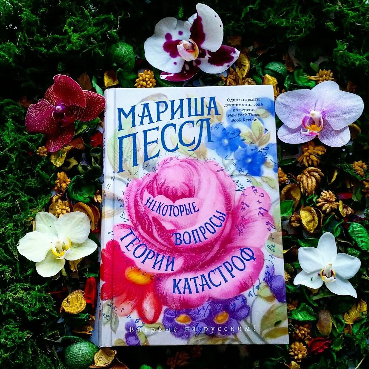 Пессл некоторые вопросы теории катастроф. Пессл некоторые вопросы теории катастроф