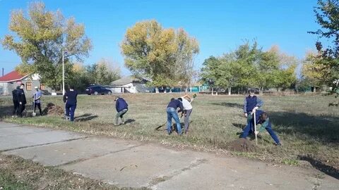 Погода в усадищенском сельском поселении на неделю