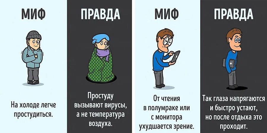 Миф правда. Правда или миф. Миф правда Мем. Миф правда в картинках.