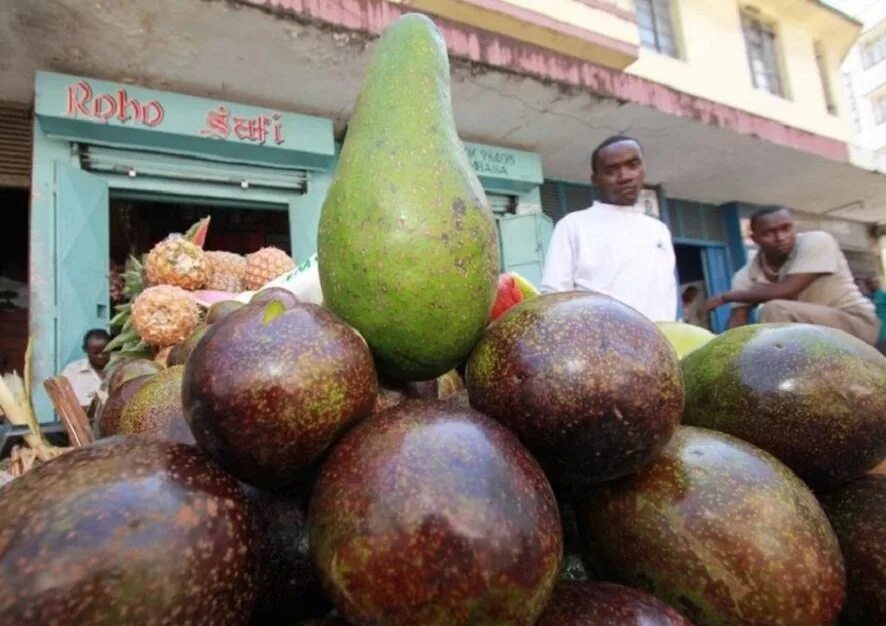 Гигантские авокадо. Авокадо гигант Бразилия. Авокадо ЮАР. Зимбабве авокадо. Авокадо Кения.