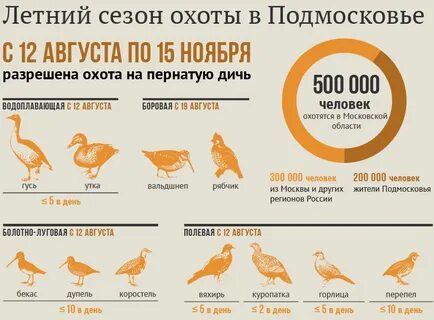 На кого охотятся в сентябре