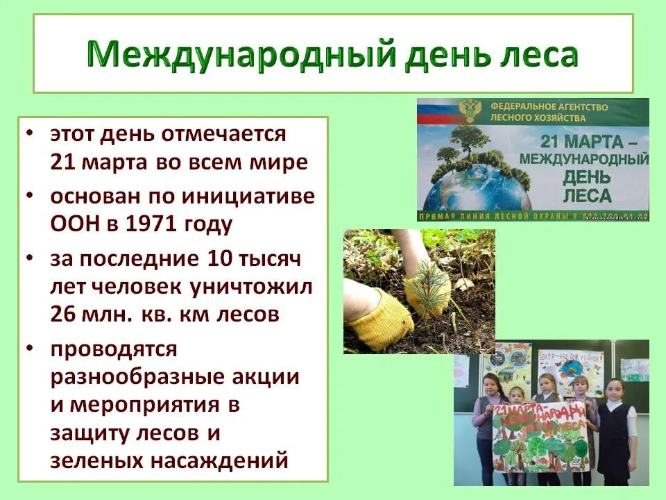 21 международный день леса. Международный день лесов. Международныйдерь лесов. Всемирный день защиты лесов.